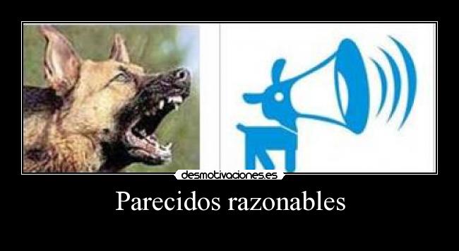 Parecidos razonables -