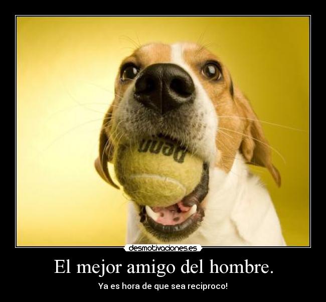 El mejor amigo del hombre. - 