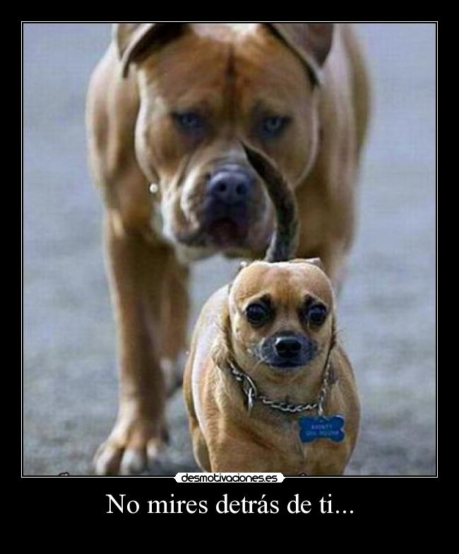 No mires detrás de ti... -
