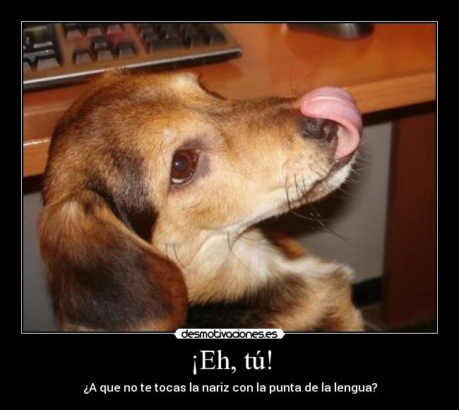 ¡Eh, tú! - ¿A que no te tocas la nariz con la punta de la lengua?