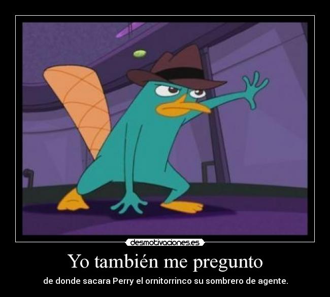 Yo también me pregunto - 