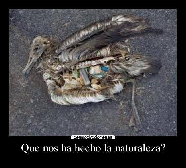 carteles naturaleza que nos hecho desmotivaciones