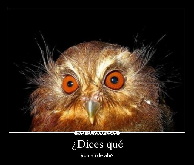 ¿Dices qué - yo salí de ahí?