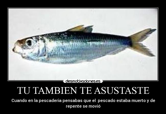 TU TAMBIEN TE ASUSTASTE -