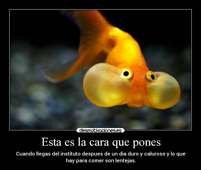carteles pez lentejas desmotivaciones