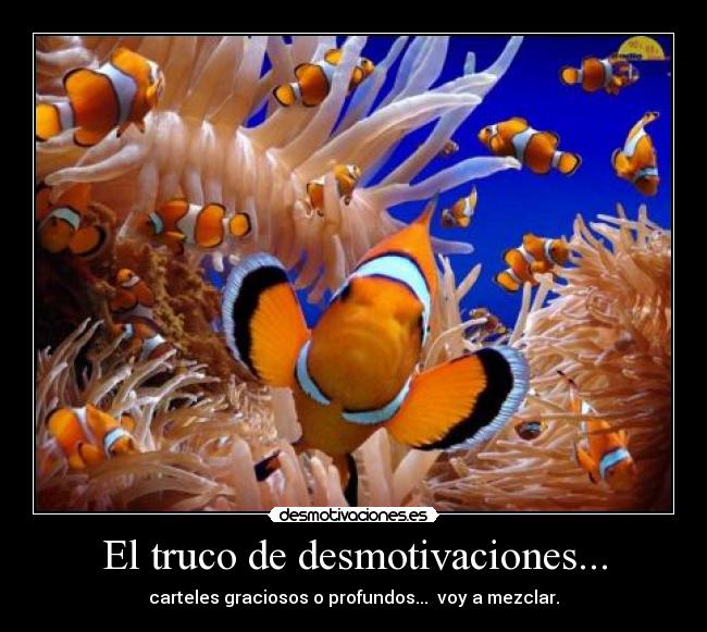 El truco de desmotivaciones... - 