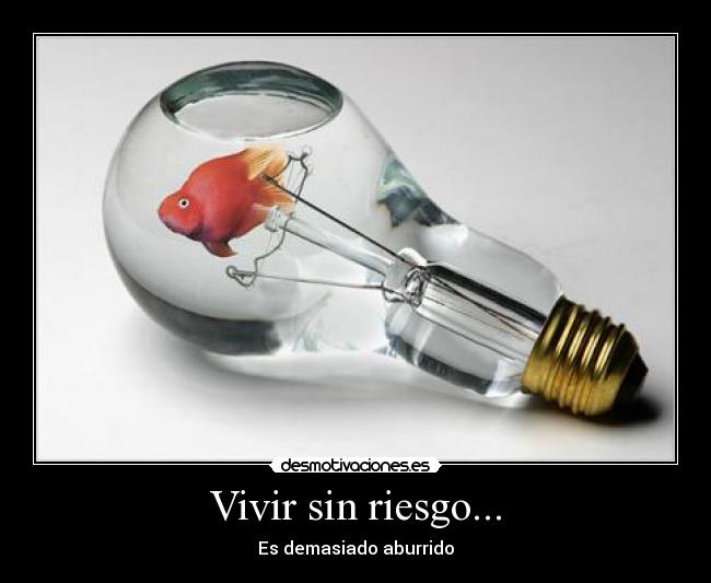 Vivir sin riesgo... -