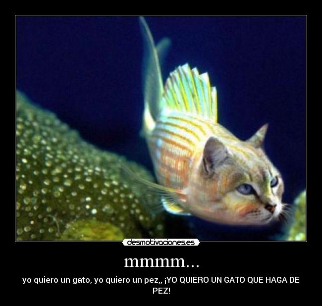 mmmm... - yo quiero un gato, yo quiero un pez,, ¡YO QUIERO UN GATO QUE HAGA DE PEZ!
