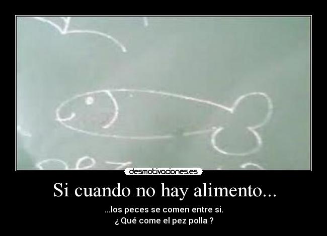Si cuando no hay alimento... - ...los peces se comen entre si.
¿ Qué come el pez polla ?