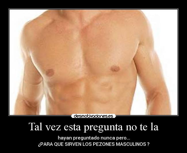 Tal vez esta pregunta no te la - hayan preguntado nunca pero...
¿PARA QUE SIRVEN LOS PEZONES MASCULINOS ?