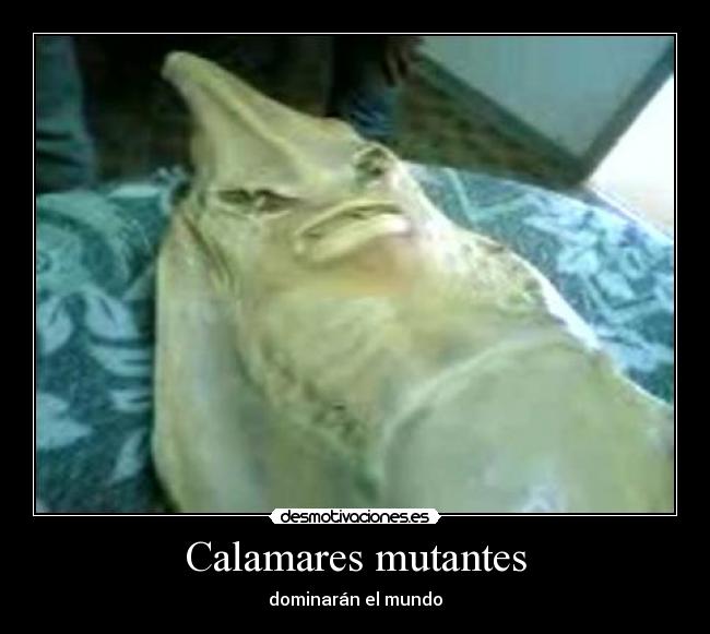 carteles calamares mutantes desmotivaciones