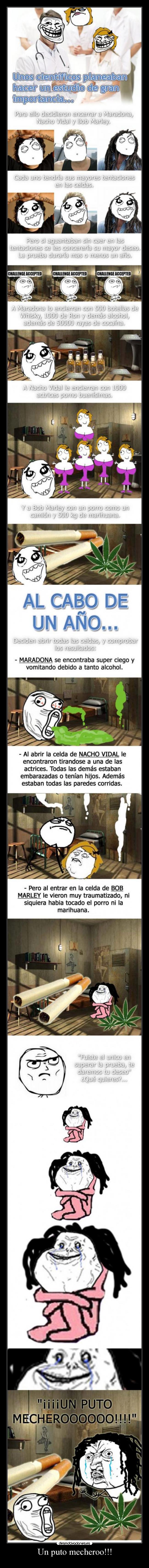 Un puto mecheroo!!! - 