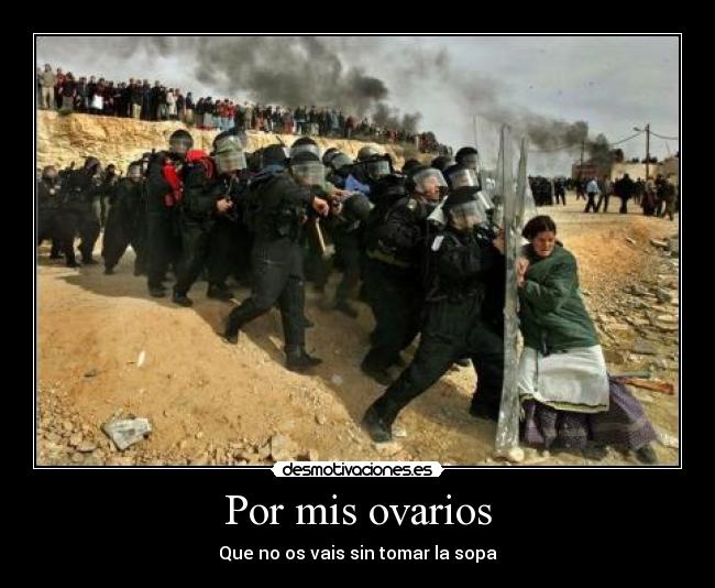 Por mis ovarios - Que no os vais sin tomar la sopa