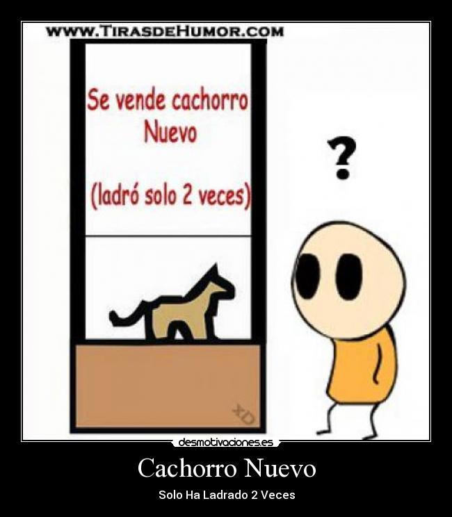 Cachorro Nuevo - Solo Ha Ladrado 2 Veces