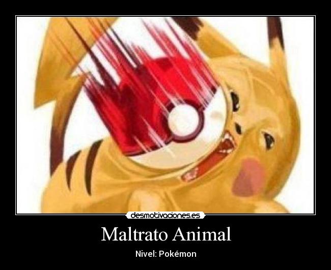 Maltrato Animal - 