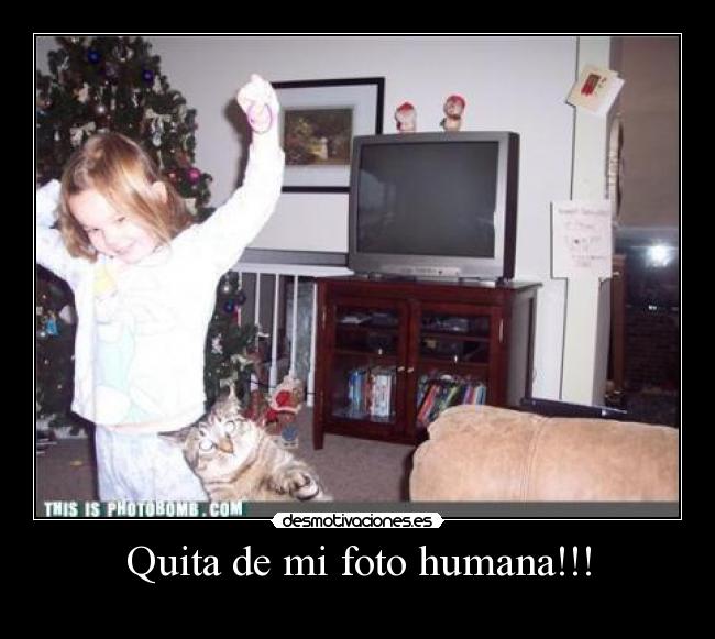 Quita de mi foto humana!!! - 