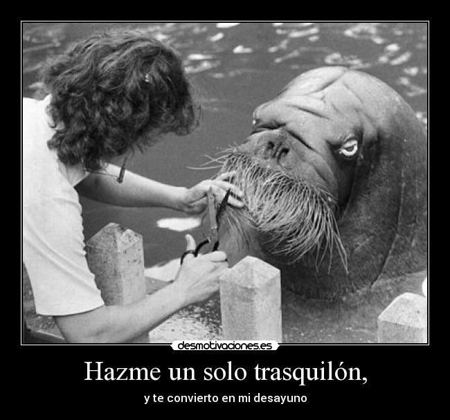 Hazme un solo trasquilón, -