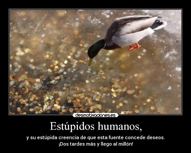 carteles putopato desmotivaciones