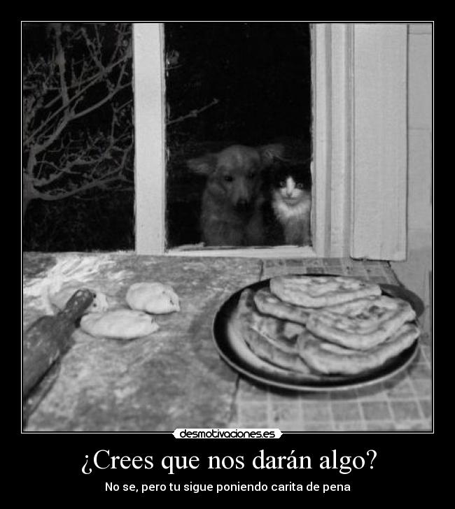 carteles penita desmotivaciones