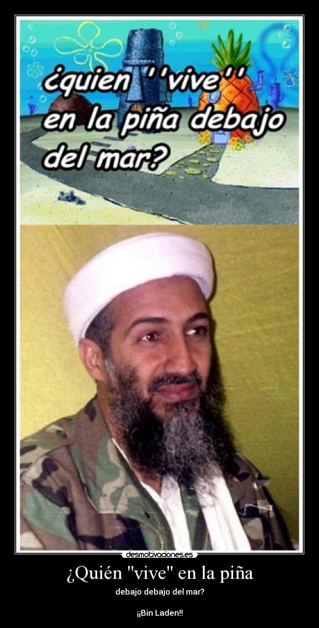 ¿Quién vive en la piña - debajo debajo del mar?

¡¡Bin Laden!!