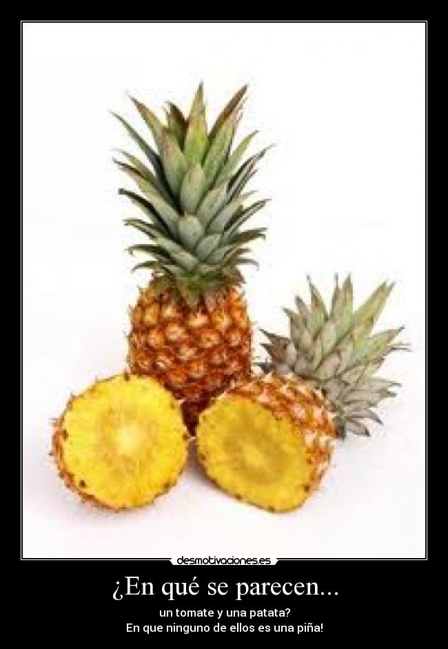 ¿En qué se parecen... - un tomate y una patata?
En que ninguno de ellos es una piña!