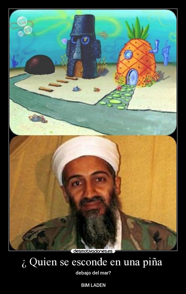 carteles bim laden desmotivaciones