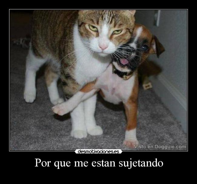 Por que me estan sujetando -