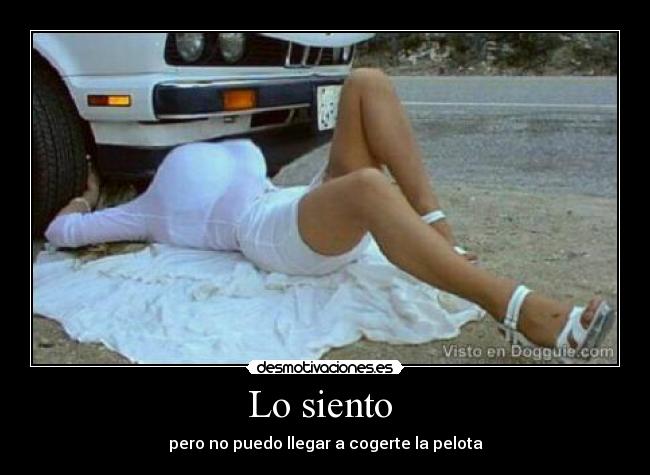 Lo siento -