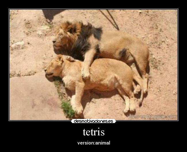 tetris - version:animal