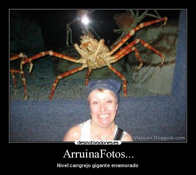 ArruinaFotos... - Nivel:cangrejo gigante enamorado