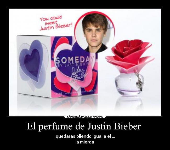 carteles mierda desmotivaciones