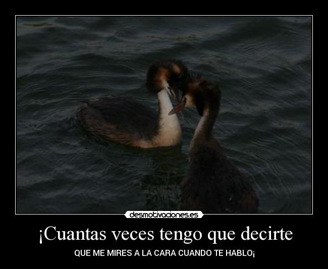 ¡Cuantas veces tengo que decirte - QUE ME MIRES A LA CARA CUANDO TE HABLO¡