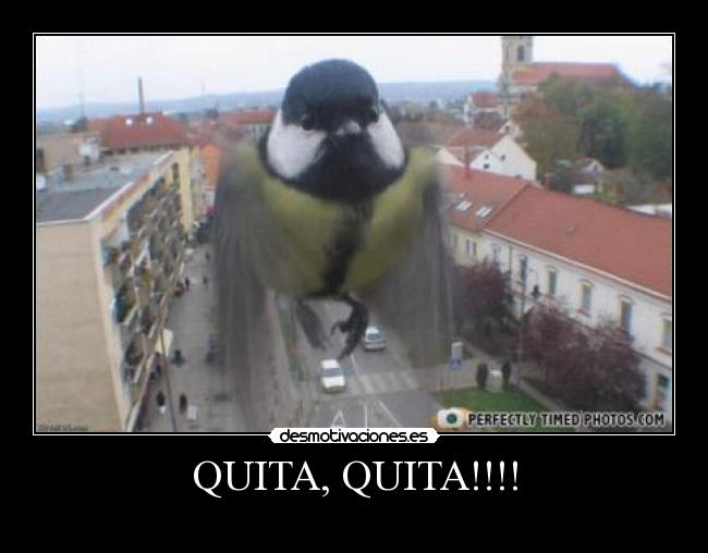 QUITA, QUITA!!!! - 