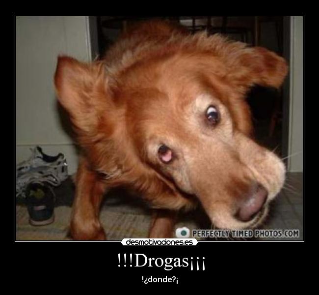 !!!Drogas¡¡¡ - 