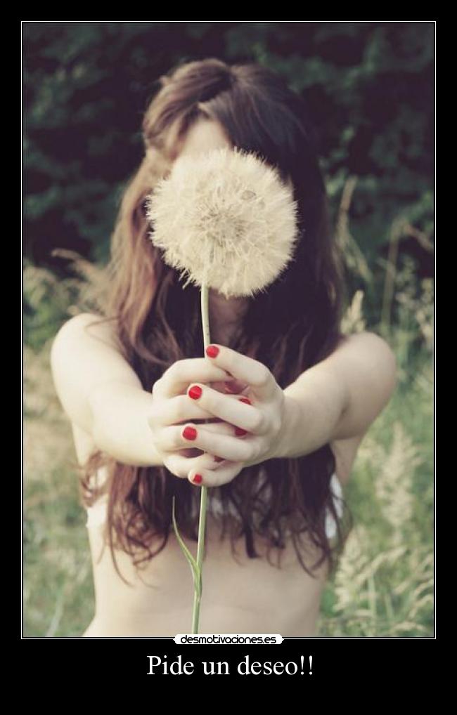 Pide un deseo!! - 