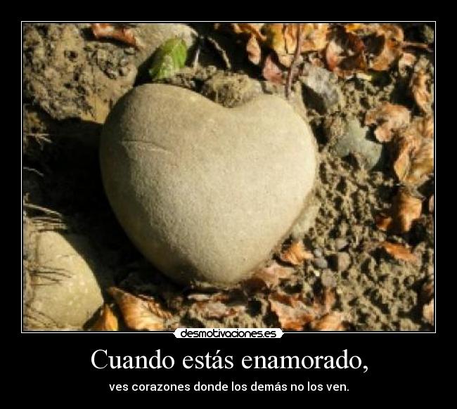 Cuando estás enamorado, -