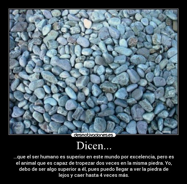 Sintético 92+ Imagen De Fondo El Hombre Es El Unico Animal Que Tropieza