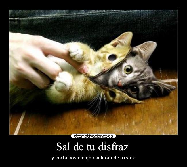 Sal de tu disfraz - y los falsos amigos saldrán de tu vida