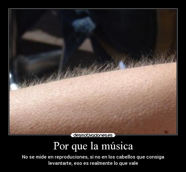 carteles musica jamon desmotivaciones