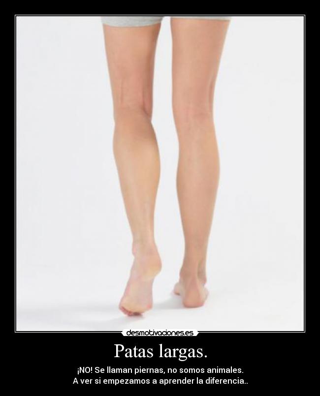 Patas largas. - ¡NO! Se llaman piernas, no somos animales.
A ver si empezamos a aprender la diferencia..