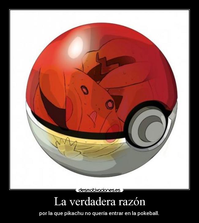 La verdadera razón - por la que pikachu no quería entrar en la pokeball. 