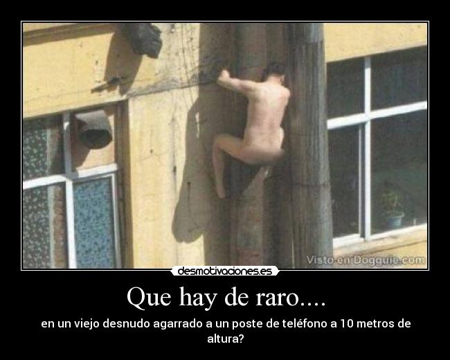 Que hay de raro.... - 