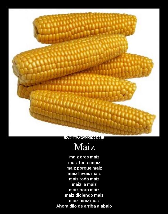 Maiz -