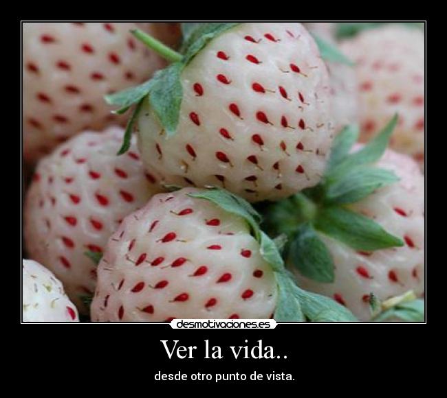 Ver la vida.. -