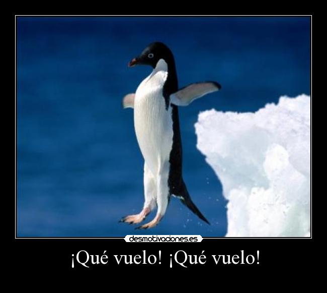 ¡Qué vuelo! ¡Qué vuelo! -