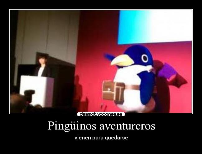 Pingüinos aventureros - vienen para quedarse