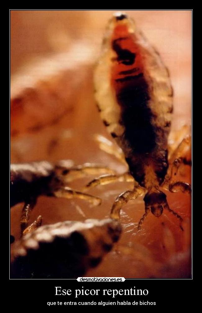 Ese picor repentino - 