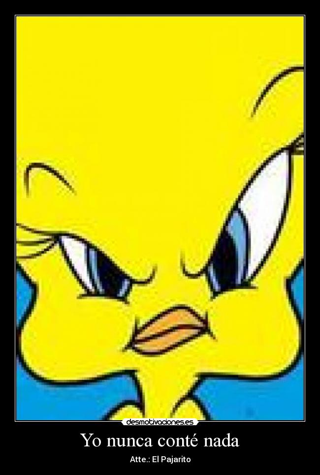 Yo nunca conté nada -