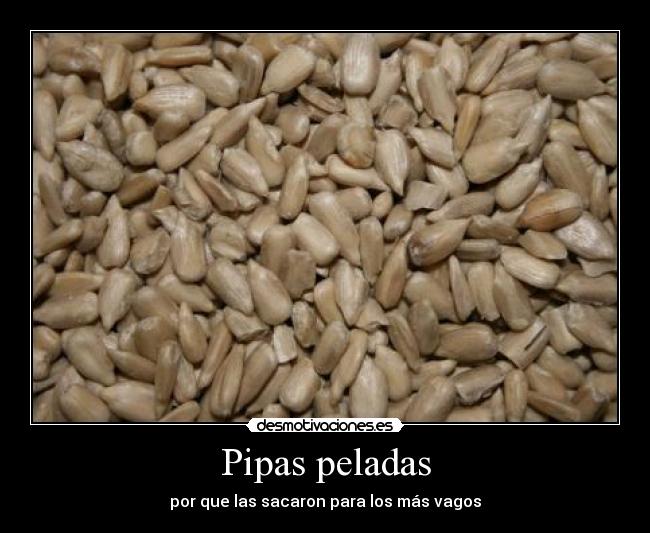Pipas peladas - por que las sacaron para los más vagos