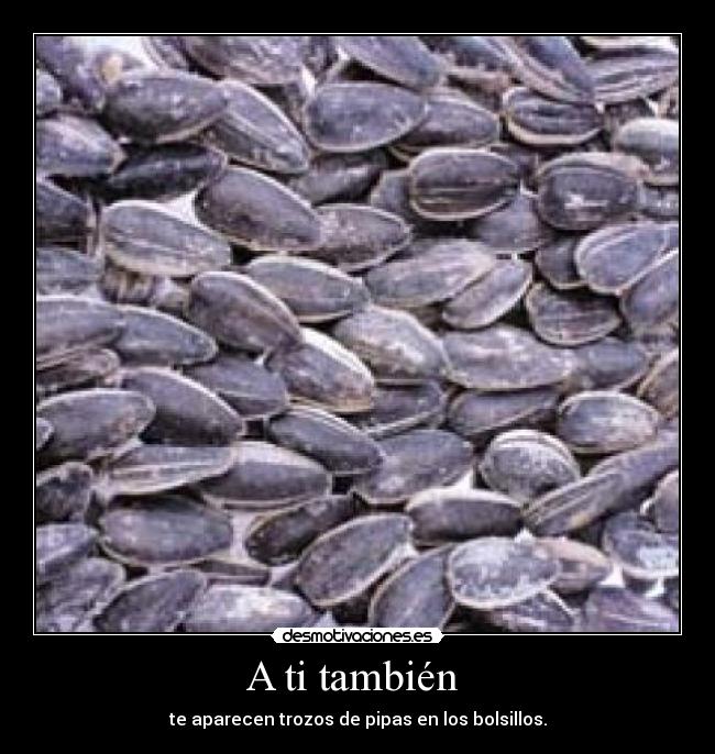 A ti también  - te aparecen trozos de pipas en los bolsillos.